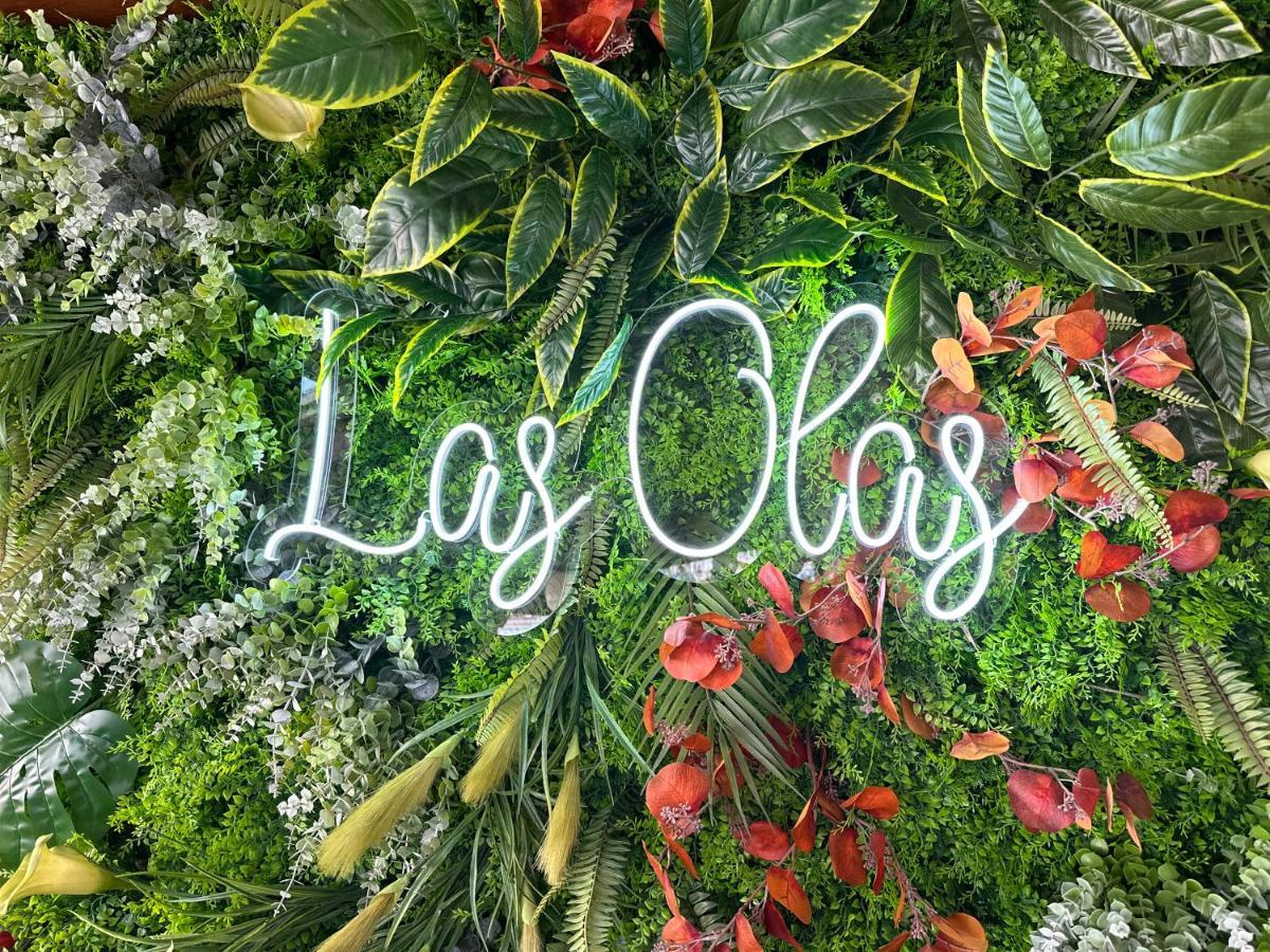 Hotel Las Olas 노하 외부 사진